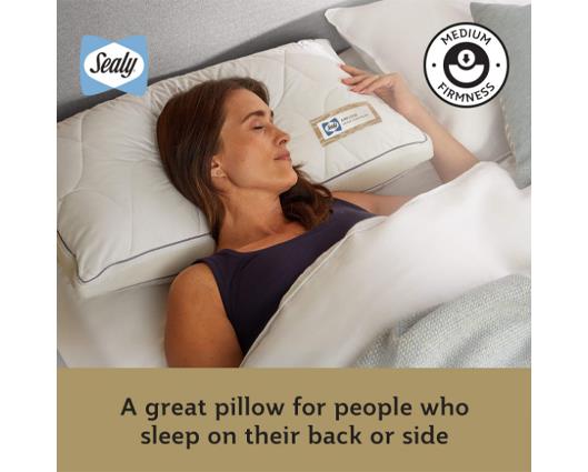 Sealy Airflow Memory Foam Pillow