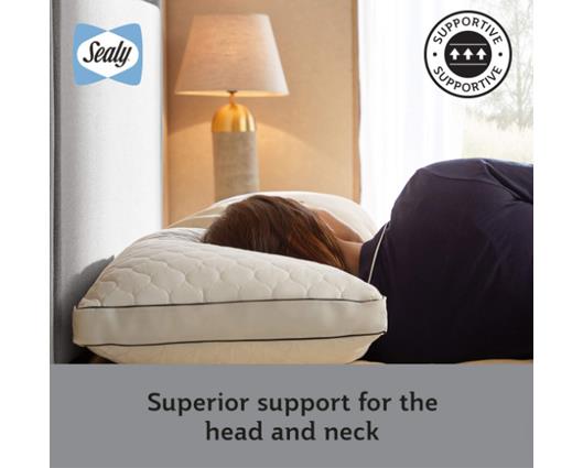 Sealy Side Sleeper Pillow