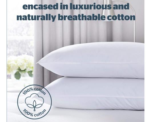 Silentnight Pure Cotton Pillow - 2 Pack